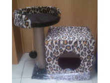 �� 970 ��� (55��) ����� �������