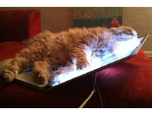 ����� ����������� � ���� ...