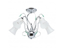 319014805 3200p (7000p).jpg