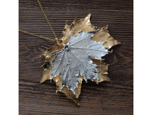 ����� "���� ��������� ���� " ������ - �������, ���������.