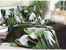 ����� ��������