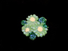 1854-06410 18�� 195.jpg