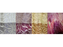 ������ �����