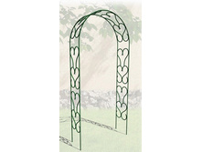 ���� ������� (�������)