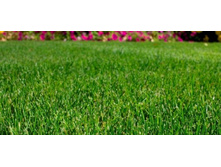 ����� ������ ������� �� ��� 300 - 32,8 ���. 30 ��. - ��� ����� ����� ����� � ������. �������� 10 ��..jpg