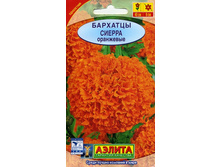 �������� ������ ��������� 8 ���. 2 ��.