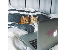 ��, ���� ��� ����������?