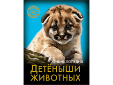 1448449051 1f12885083e0b399c86570feadf97705.png