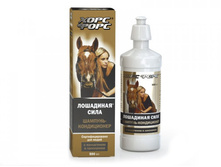 ��������� ���� �������-����������� � ���������� � ���������,