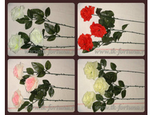 20-2003 ���� �����  22,5