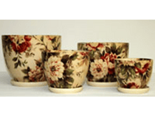 115BZ ������