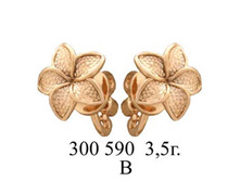 Pic 1 20111225154438.jpg