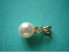 DSCN4436.JPG