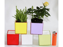 ����� ������� � �������� � ��� �������.