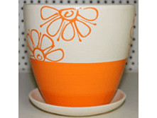 5667 ���������