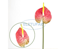 ��004651 �������� ������� 69 �� 150�.jpeg