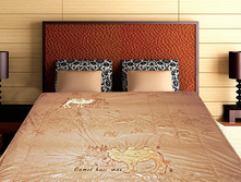 6001.����������� (������ ���������) 180*200=1900 ���