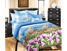 ���������� ������.jpg