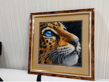 IMG 20160204 191617.jpg