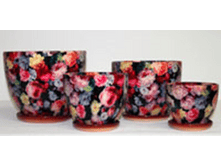 225CZ ������