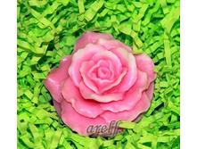 ���� - ������� �� 2 ���. �������. - 1 ��.