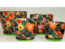 185 �������