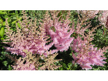 ��� ����4.JPG