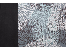 ������� ������ ̣�.jpg