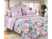 ������������ 1.jpg