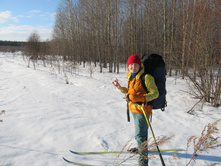 2016-02-06 14.57.23 cr.jpg