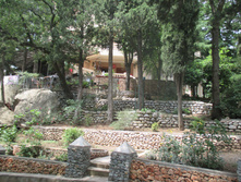 IMG 1305.JPG