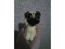 12524305 10208052308978041 7659972897479760437 n.jpg