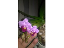 WP 20160225 22 21 21 Pro.jpg