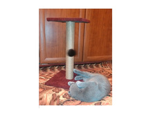 �� 340 ��� ���������� 50��