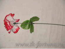 20-1974� �������� 25 ��., D=6*3 ��., �������, �����, ������� 4.25