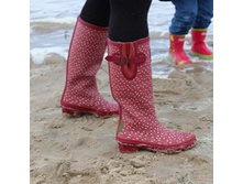 ��� ����