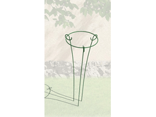 �������������� ���� ���������