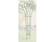 ������� ������������