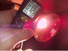 IMG 20160228 091155.jpg