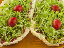 ������ � �������4.jpg