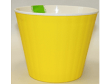 �����-������ ����� ����� ������� ������� � ��������