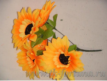 20-2068 ����� ����������� 29 ��., 5 �����, ������ D=12 ��., �������, ����� 46.00