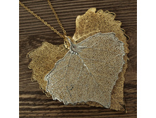 ����� "���� ������" ������ - �������, ���������. �������