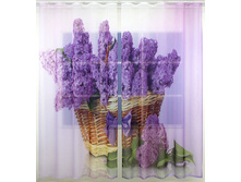 ��������� �� ������� ������, ���� 3200 ���