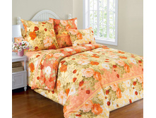 ������ ����-2 ���������.jpg