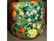 185    ����������