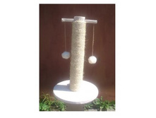 �� 730 ��� ���������� 55�� "��������" ���������