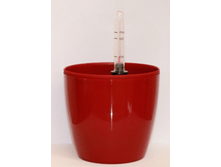 ����� ������ � �����������