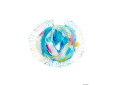 TISF364 - �������.jpg