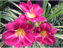 �������